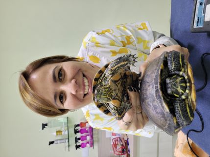 Dra. Andressa realizando atendimento domiciliar com jabutis